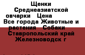 Щенки Среднеазиатской овчарки › Цена ­ 30 000 - Все города Животные и растения » Собаки   . Ставропольский край,Железноводск г.